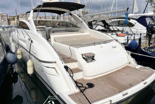 PRINCESS V55