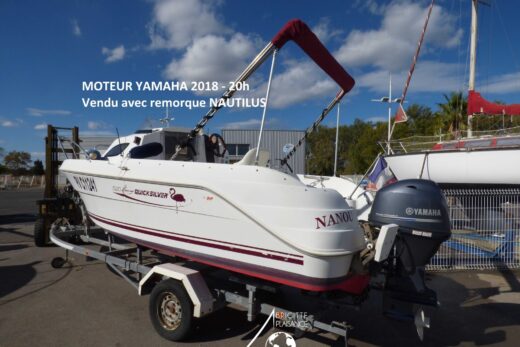 QUICKSILVER FLAMINGO 520