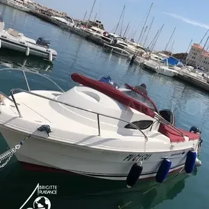 Quicksilver 520 Flamingo