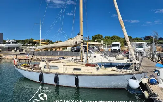 Wauquiez Elizabethan 29