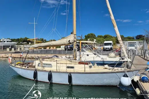 Wauquiez Elizabethan 29